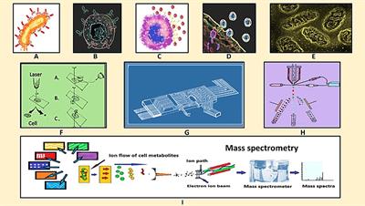 Single Cell Metabolomics: A Future Tool to Unmask Cellular Heterogeneity and Virus-Host Interaction in Context of Emerging Viral Diseases